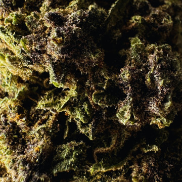 fleur CBD purple berries
