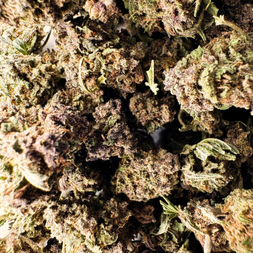 fleur CBD purple berries