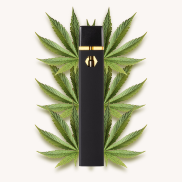 Vape Amnesia THV-N10