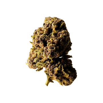 fleur CBD purple berries