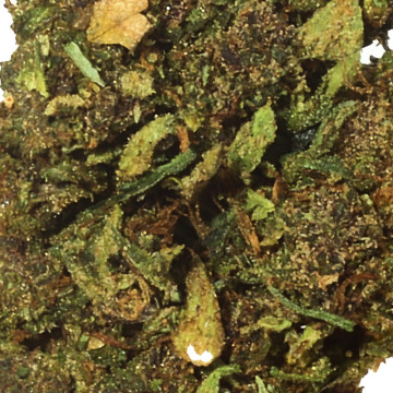 Green Bush THV-N10