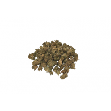 Baby Bud CBD -  Weed légal -  M2J