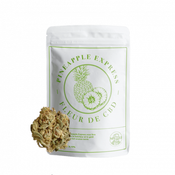 Stand Up et Fleur Pinapple Express M2J CBD