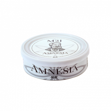 Amnesia CBD cannabis photo