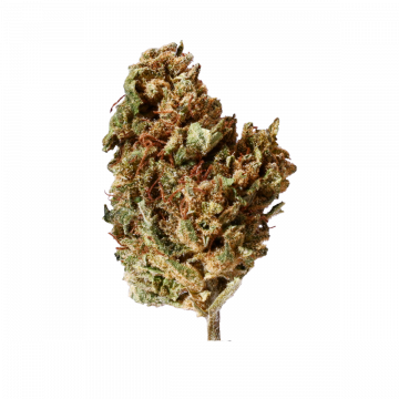 Stand Up Weed Cheese outdoor - Fleur CBD -  M2J