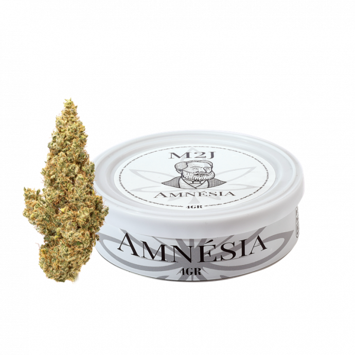Amnesia CBD cannabis photo