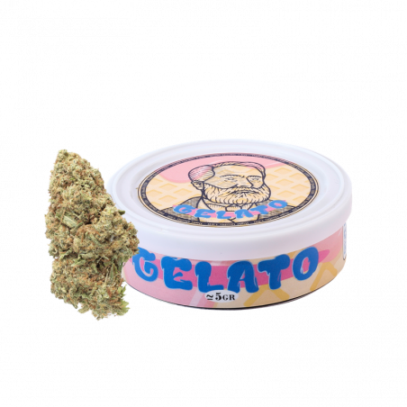 Gelato CBD M2J