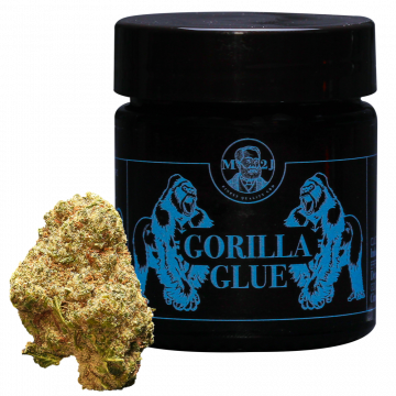 Gorilla glue CBD