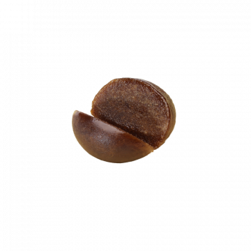 Résine CBD Mango Hash