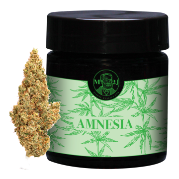 Amnesia HHC