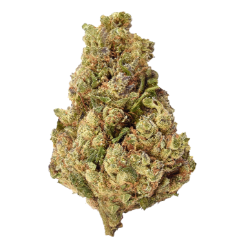 Amnesia H4CBD cannabis