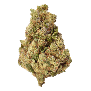 Amnesia H4CBD cannabis