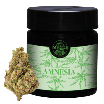 Amnesia H4CBD cannabis