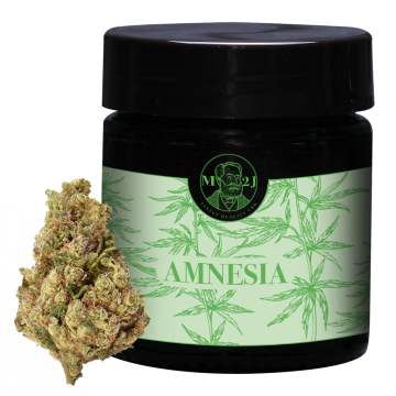 Amnesia H4CBD cannabis
