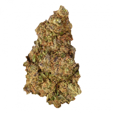 Triangle Cookies THCP