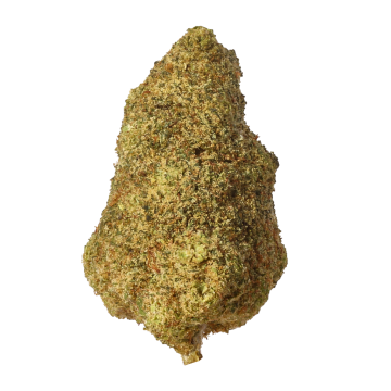 Fleurs HHCPO Santa kush de noel