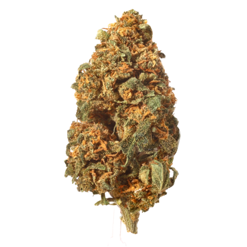 Fleurs de CBD strawberry cough offre