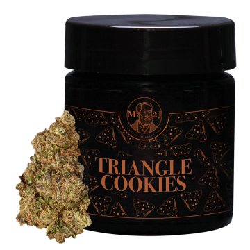 Triangle Cookies RAF