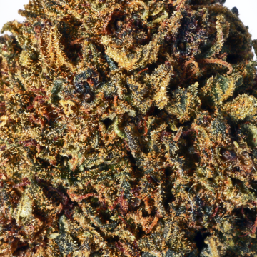 Purple Crack RAF
