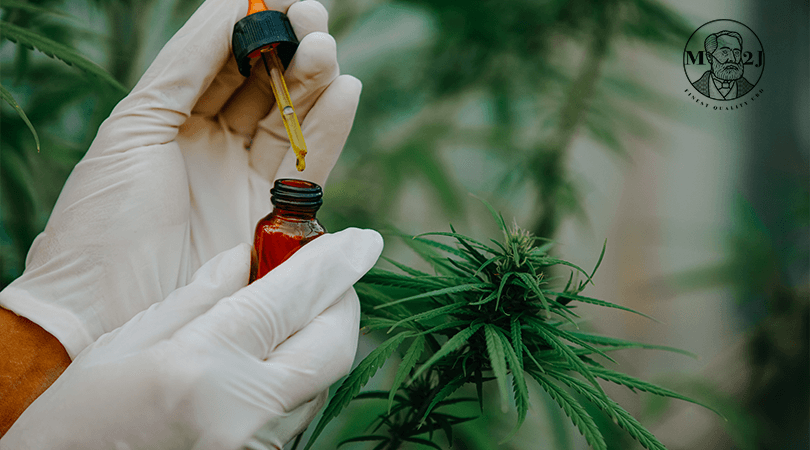 cbd contre les douleurs