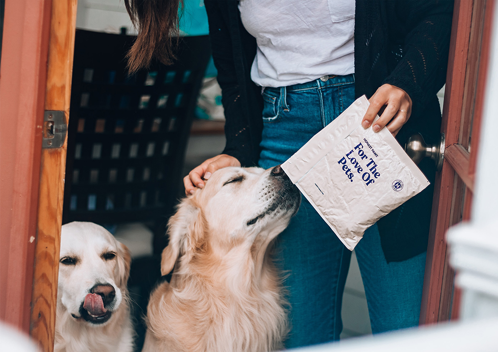 Peut-on donner du CBD à son chien ?